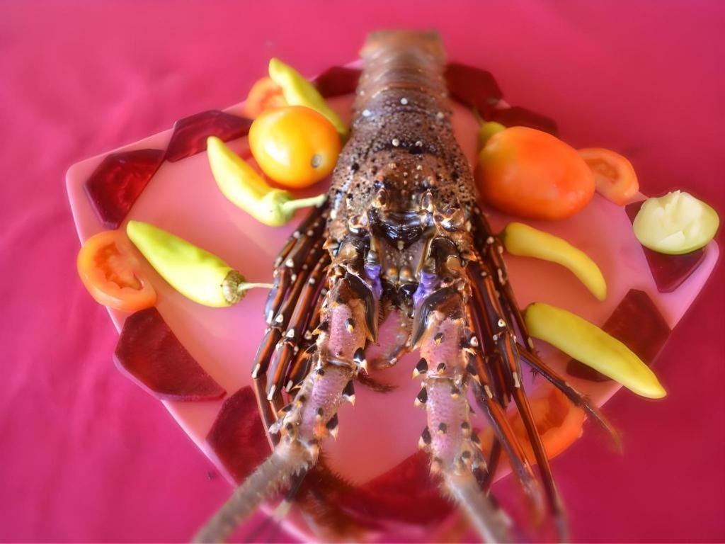 Silver Beach Hotel トリンコマリー エクステリア 写真